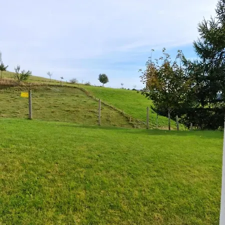 Apartment Luxus-appartement In Kappel *